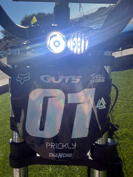 Ridstar Plug and Play Baja Light