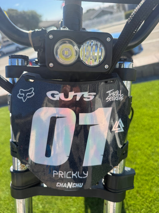 Ridstar Plug and Play Baja Light